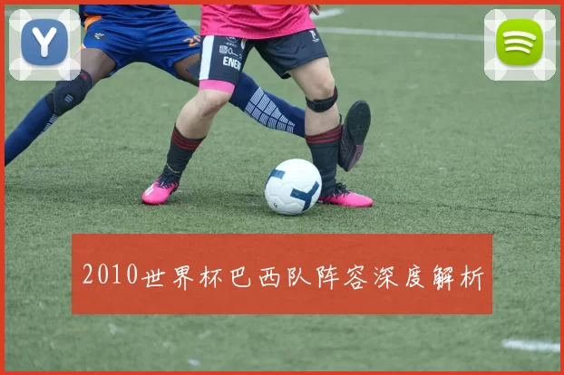2010世界杯巴西队阵容深度解析