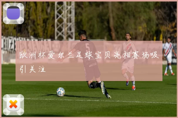 欧洲杯爱尔兰足球宝贝亮相赛场吸引关注