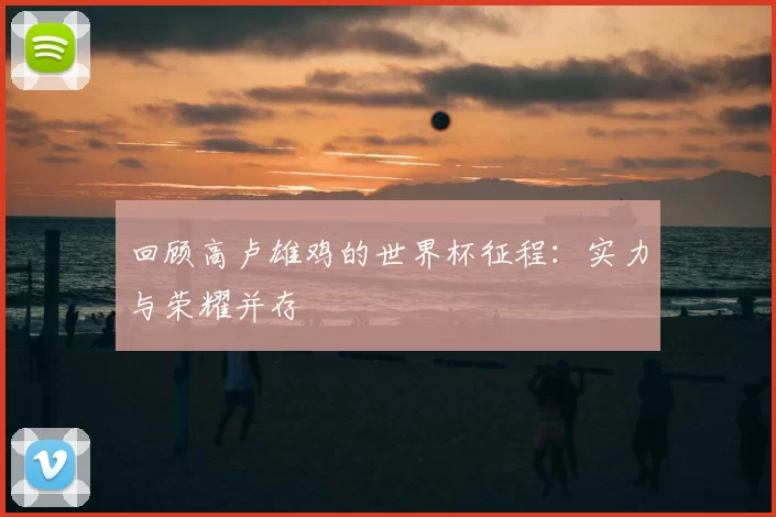 回顾高卢雄鸡的世界杯征程：实力与荣耀并存