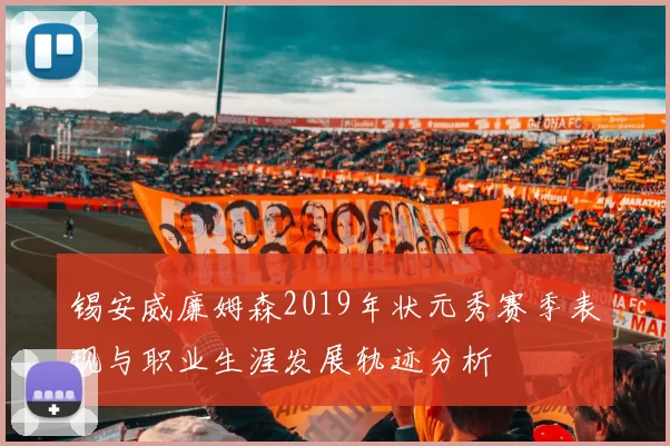 锡安威廉姆森2019年状元秀赛季表现与职业生涯发展轨迹分析