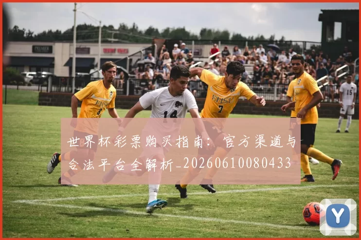 世界杯彩票购买指南:官方渠道与合法平台全解析_20260610080433