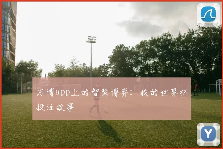 万博app上的智慧博弈：我的世界杯投注故事