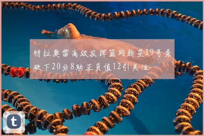 特拉奥雷高效发挥篮网新星19号秀砍下20分8助正负值12引关注